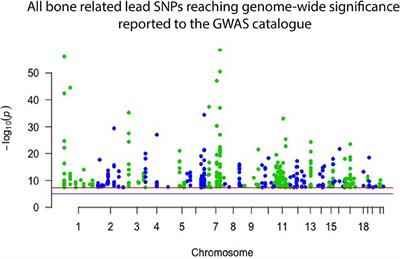 New Insights Into Monogenic Causes of Osteoporosis